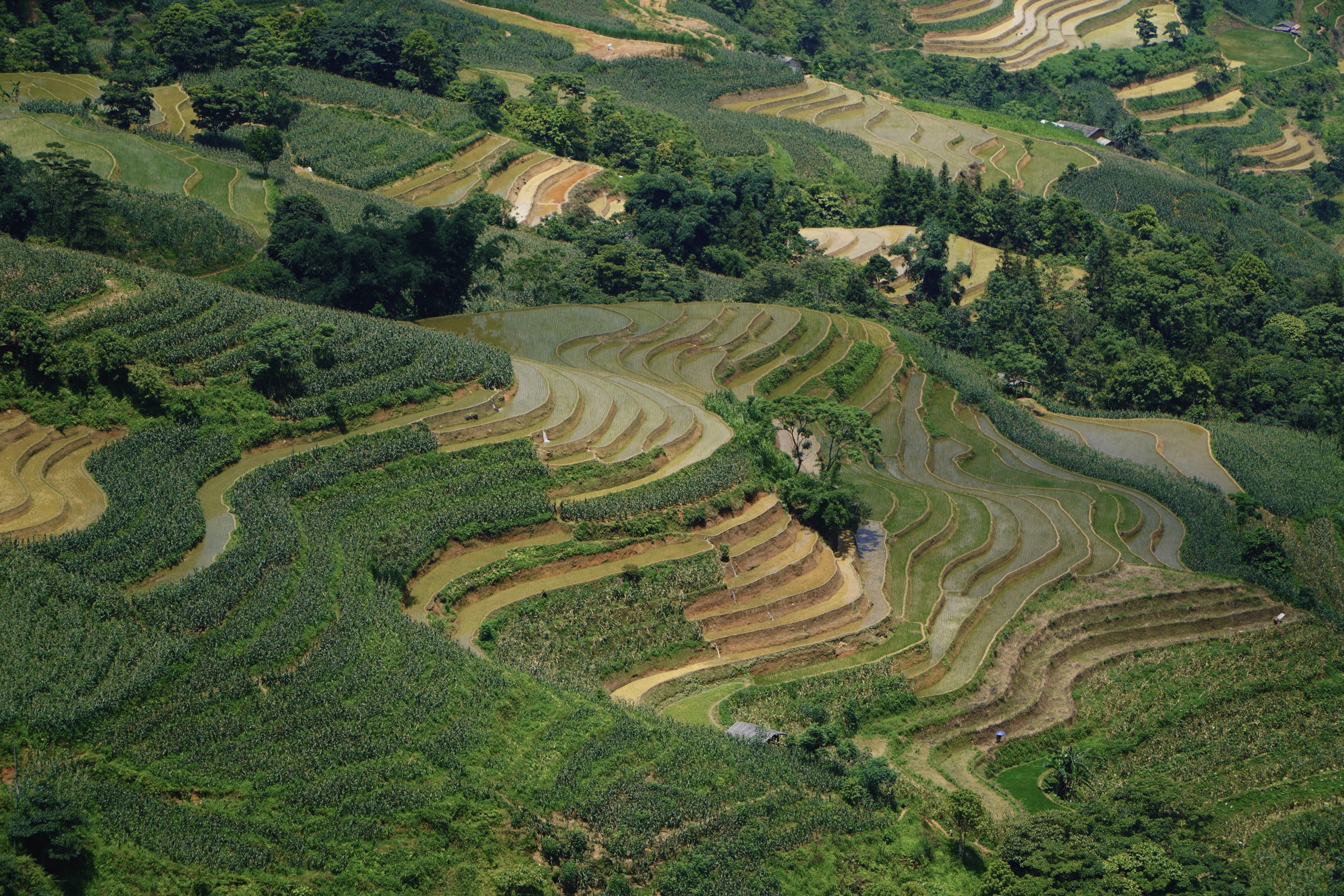 Offroad Ha Giang Loop – 4 Day